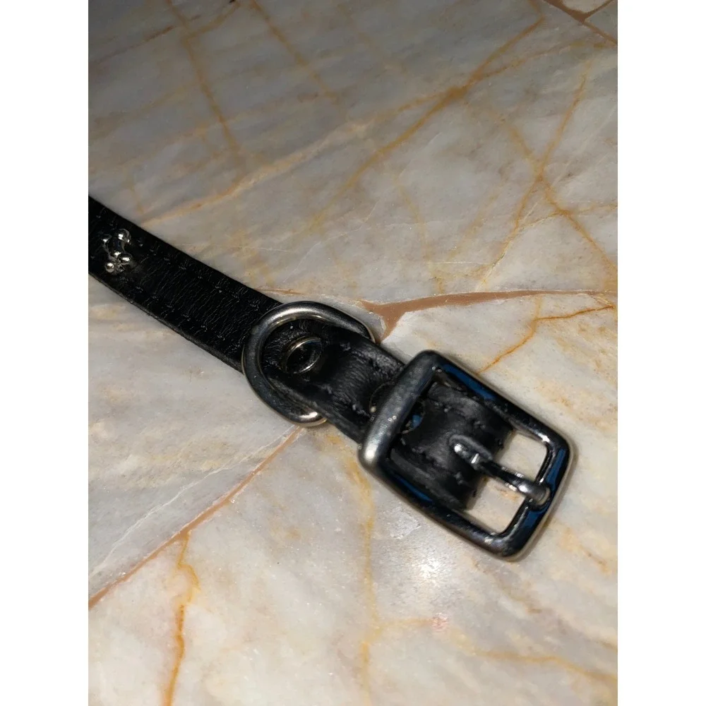 Black Faux Leather Pet Collar Silver Dog Bone Studded Adjustable Small 12 Inch